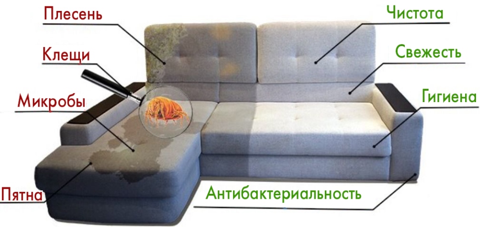 Химчистка дивана от запаха кошачьей мочи на дому Санкт-Петербург